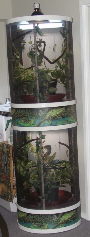 our custom built terrarium