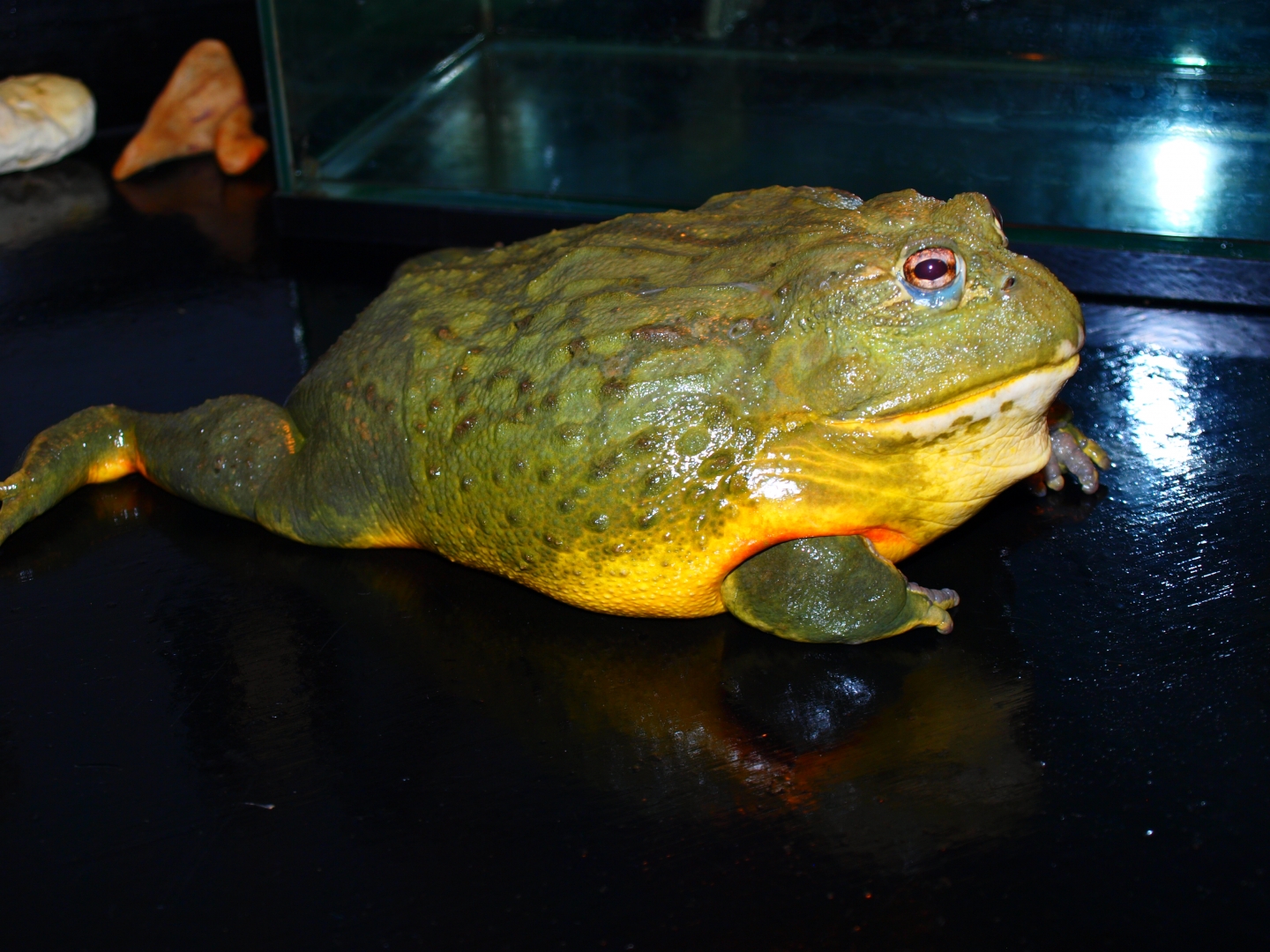 P3121079