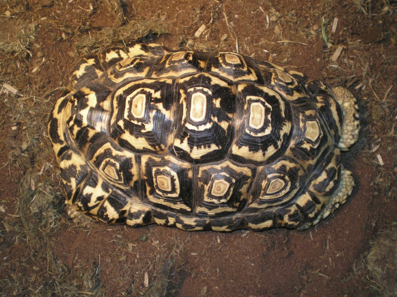 PC010045