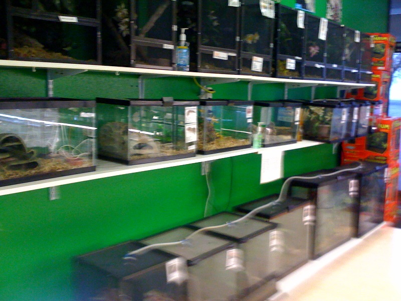 photo10