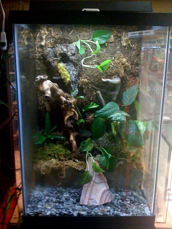 photo11