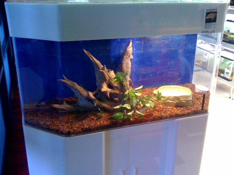 photo12