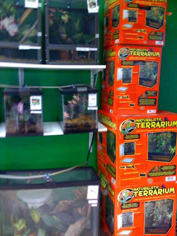 photo14