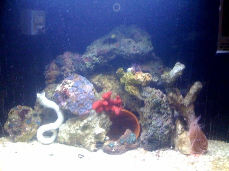 photo2