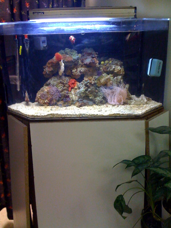 photo4