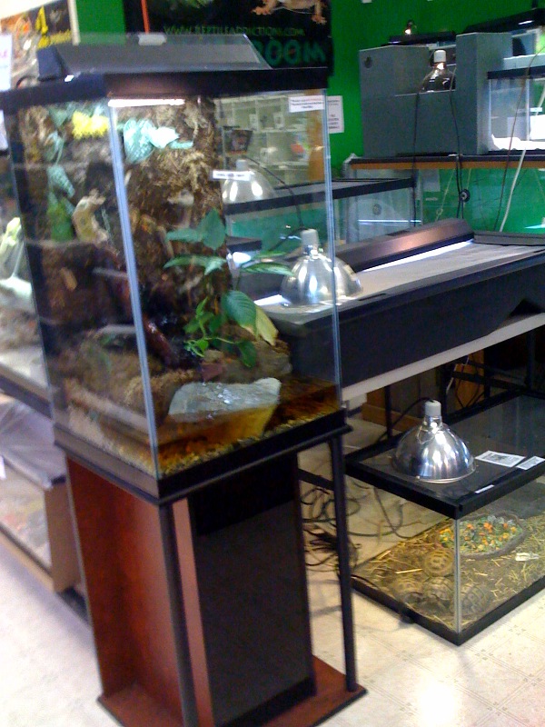 photo5