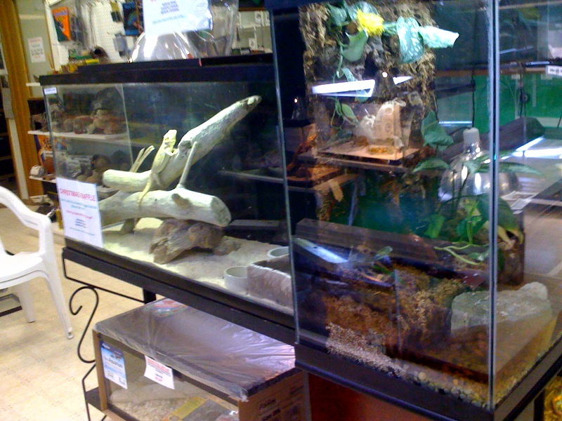 photo6
