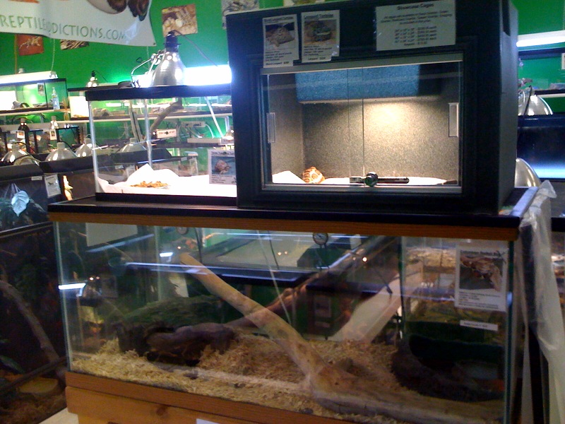 photo7