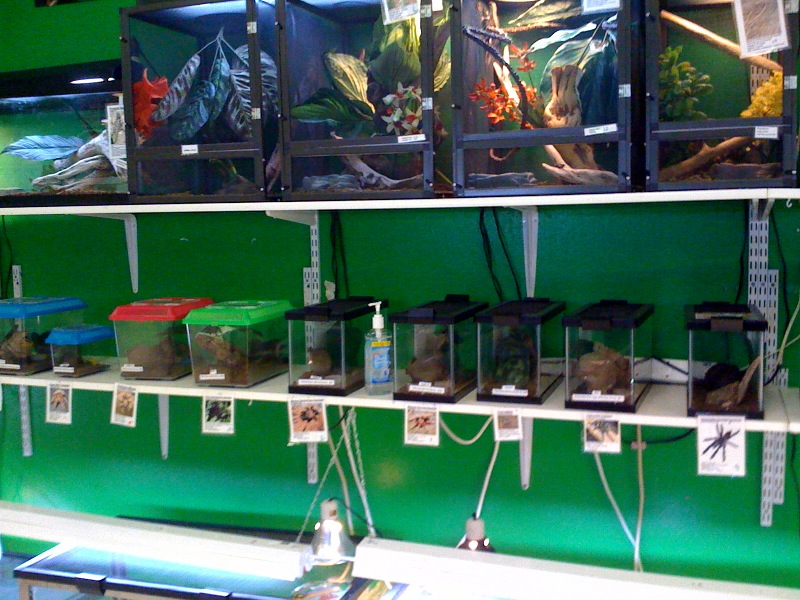 photo9
