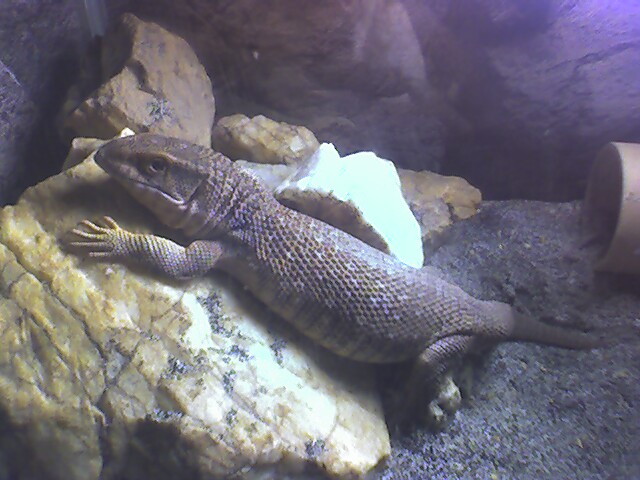 Photo_080707_001