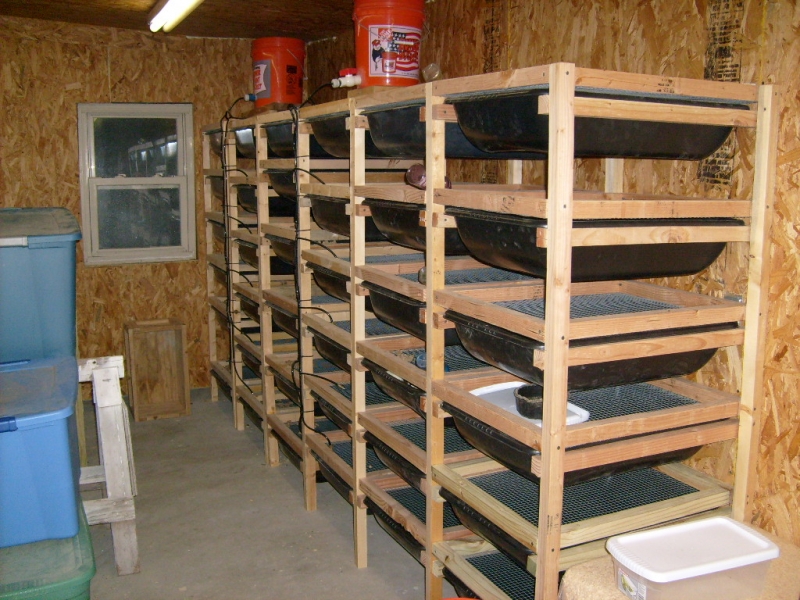 Pics of my Set ups