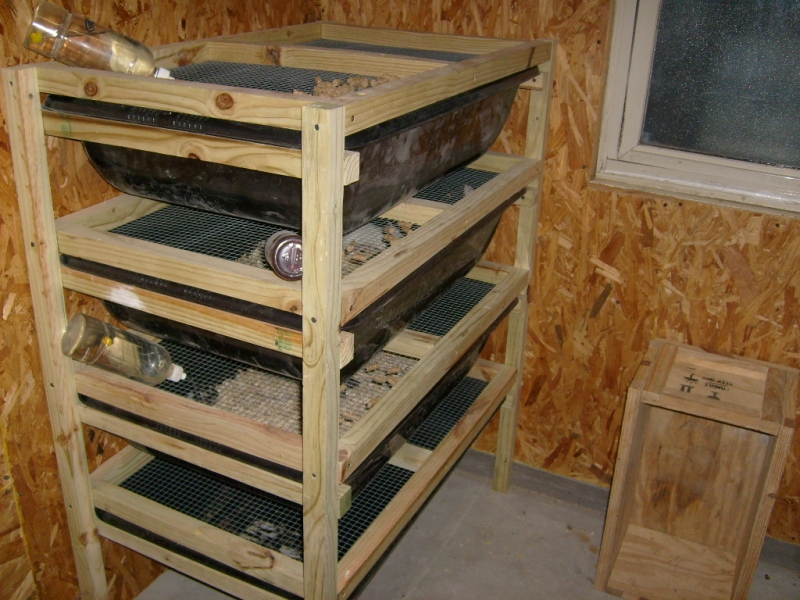 Pics of my Set ups