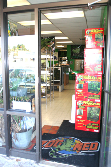 Pics Of My Store