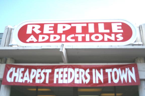 Pics Of My Store