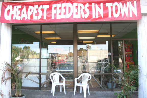 Pics Of My Store