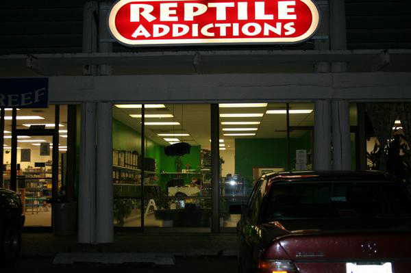 Pics Of My Store