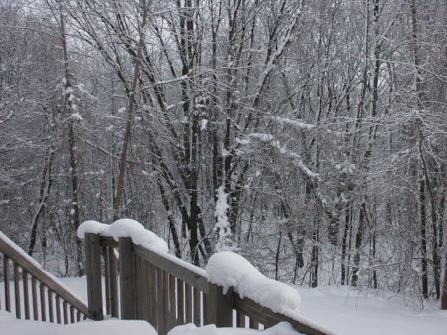 pict00033