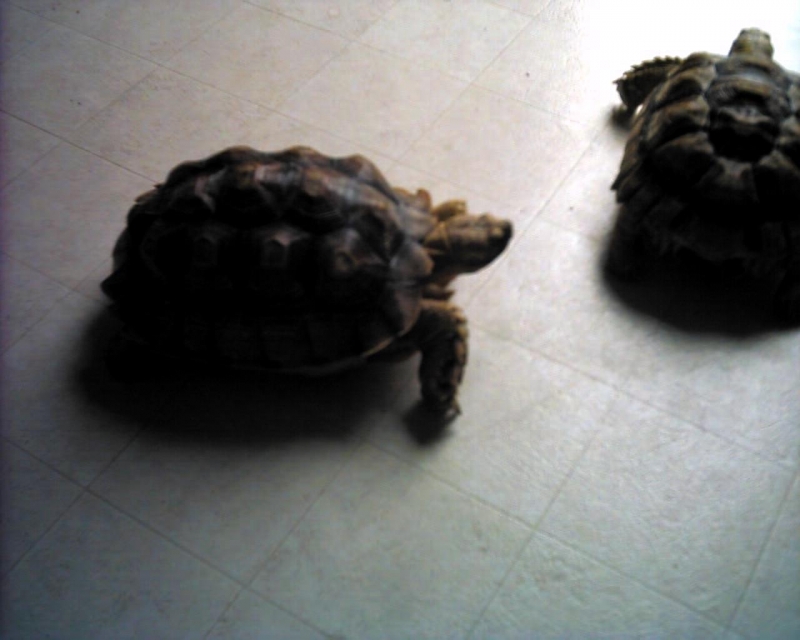 PICT00051