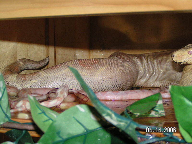 PICT0027