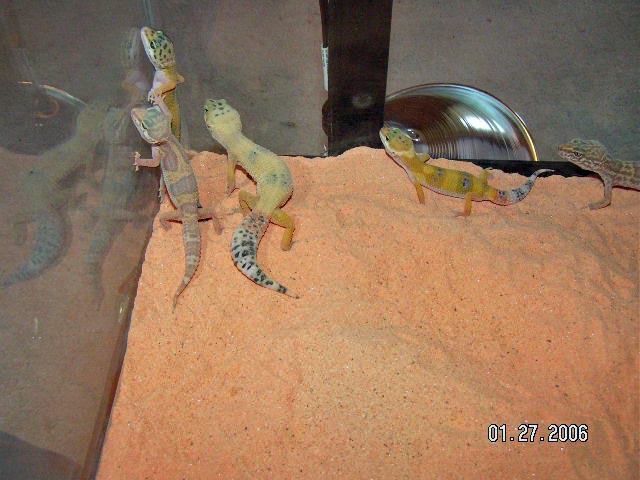 PICT0056_edited-1