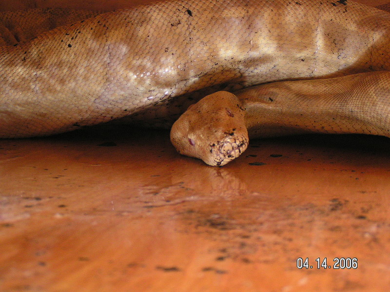 PICT0071