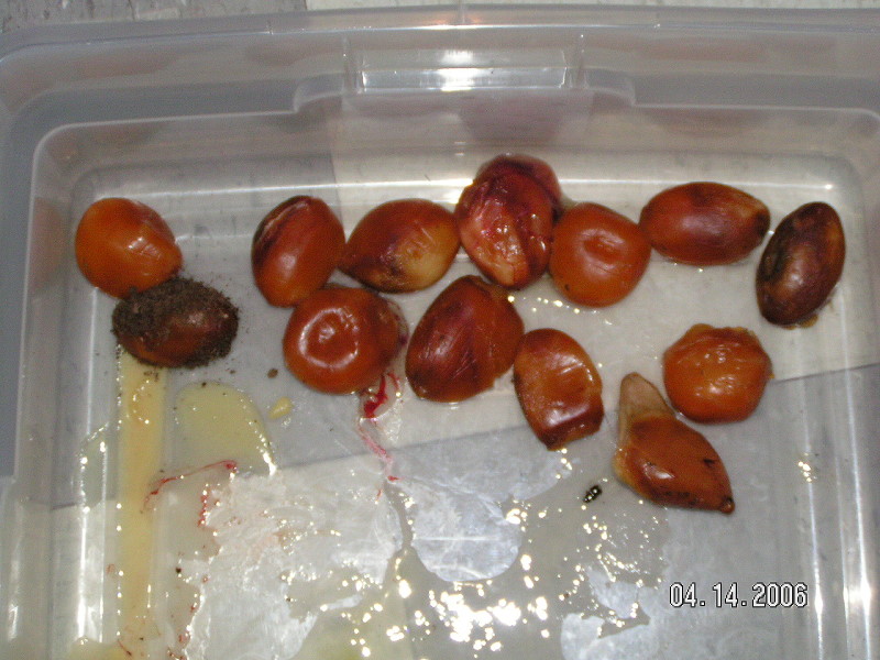 PICT0081