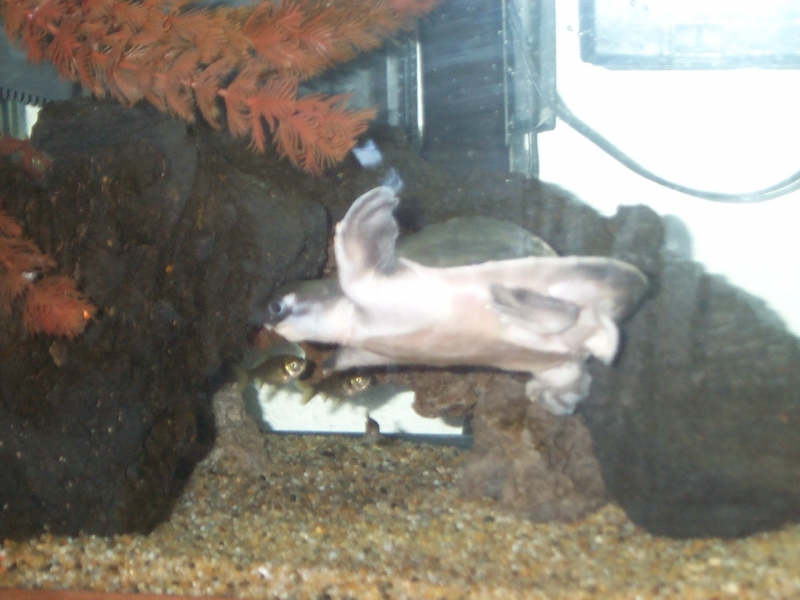 Picture_002
