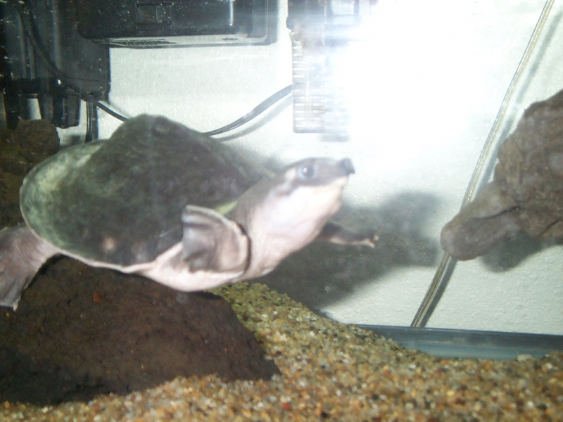Picture_004