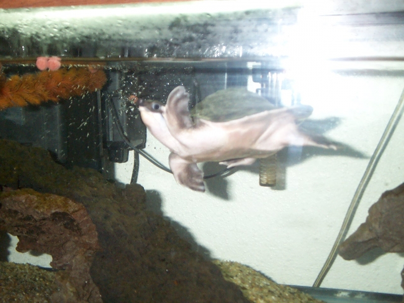Picture_005