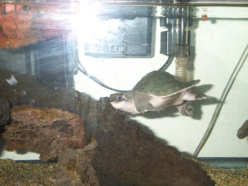 Picture_008