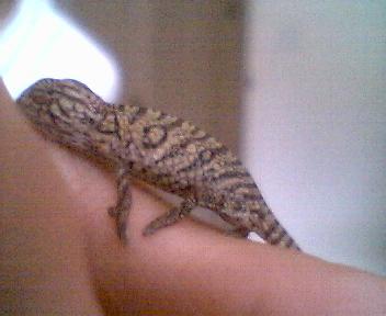 Picture_033