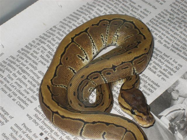 Picture_105_Small_