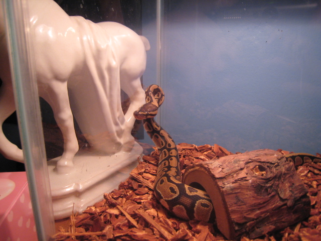 Picture_1581