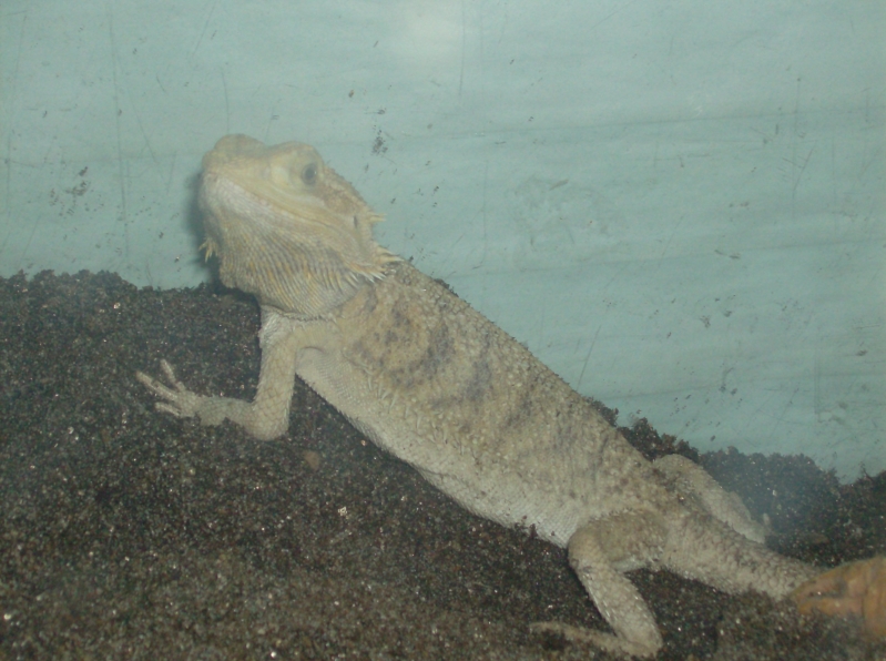 Picture_170