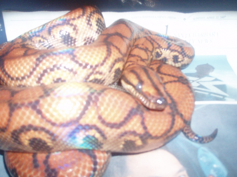 Picture_362