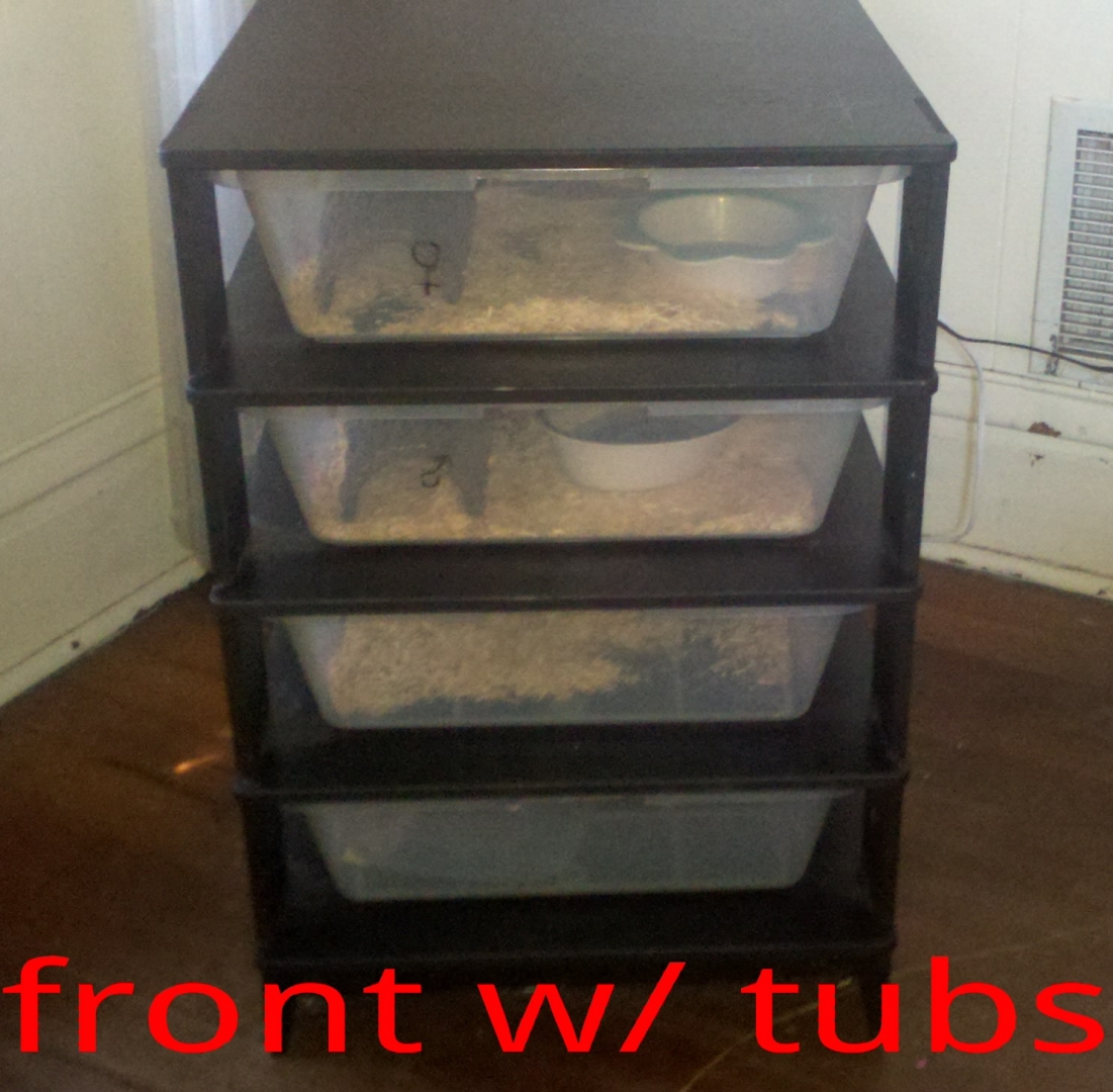 rack with tubs