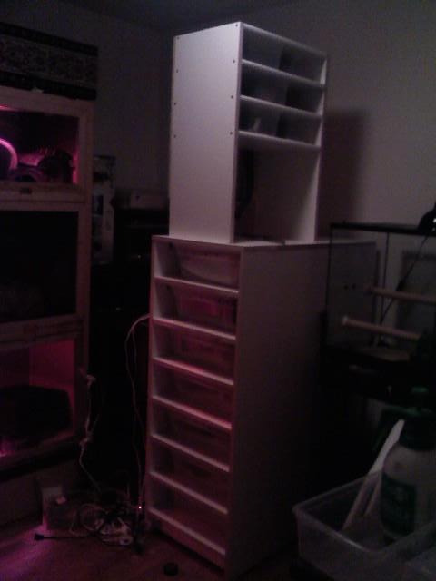 Rack!