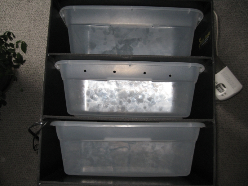 rack_3