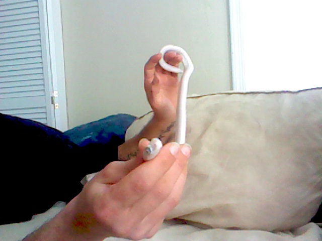 rat snake