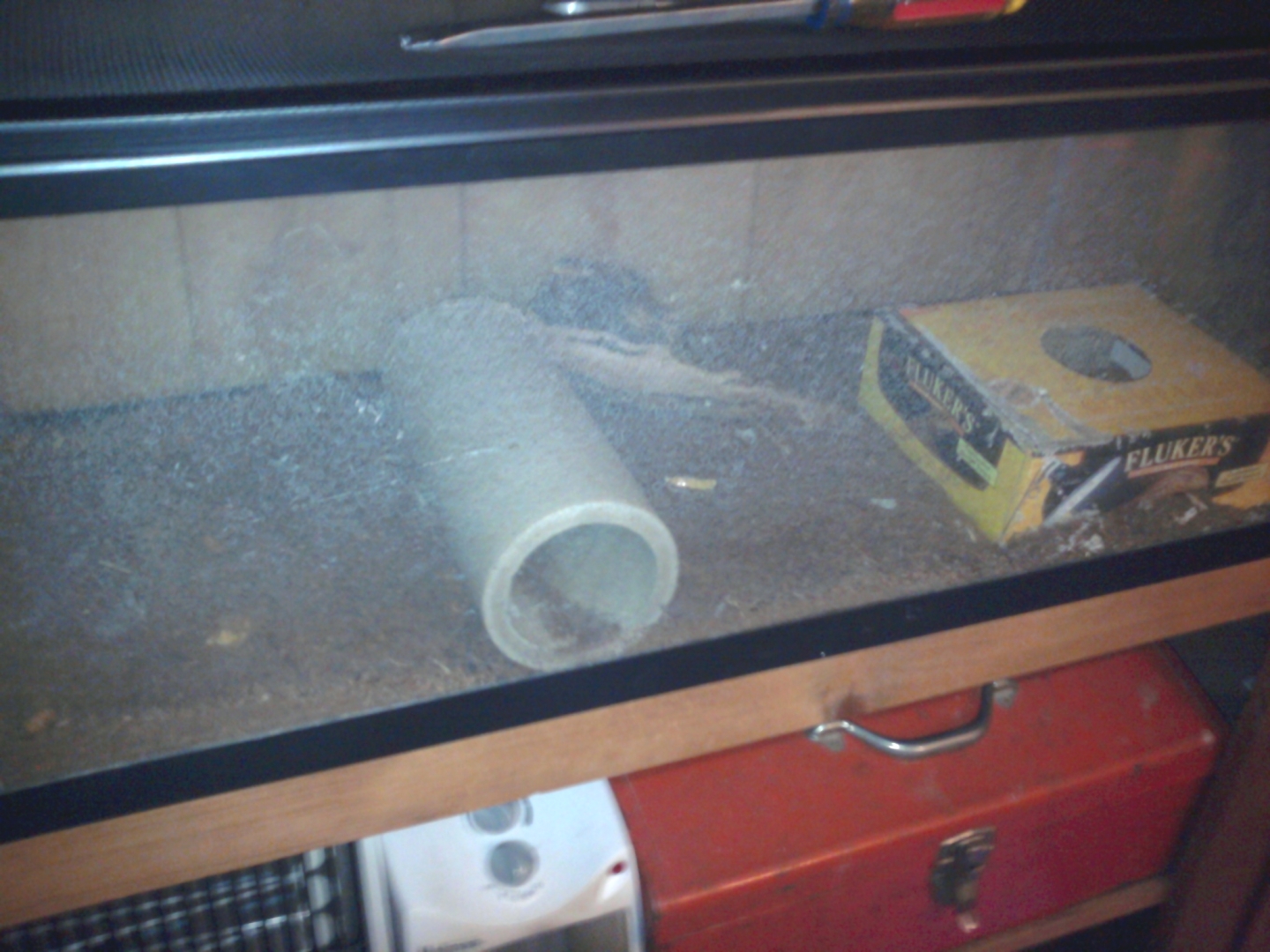 Rat Tank