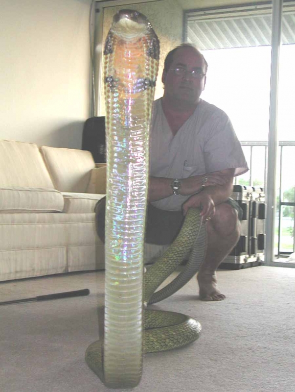 Ray Hunter w/12 ft Malayan King Cobra