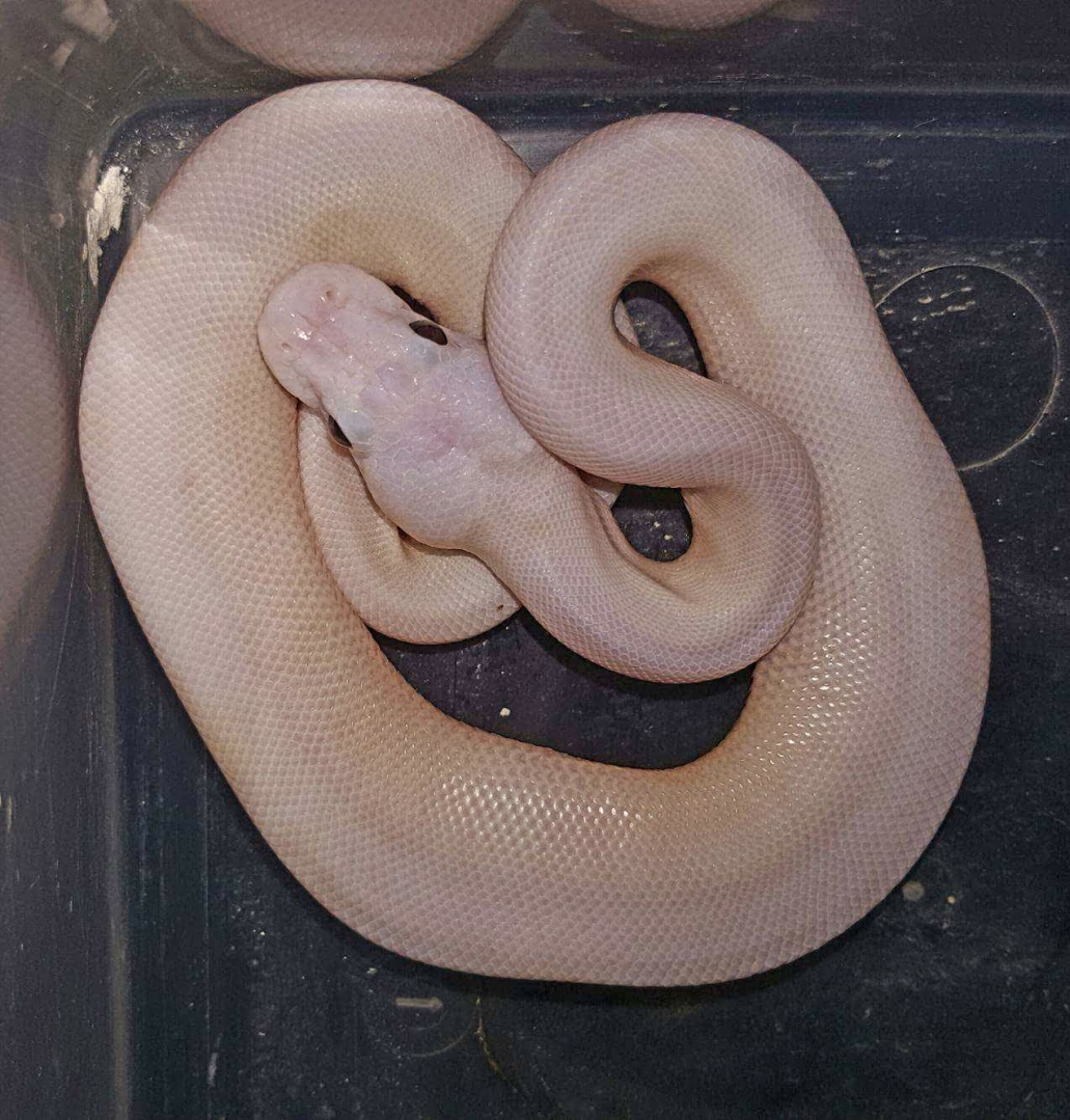 received_10206981283836048
