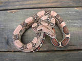 Red on Red Pastel Boa