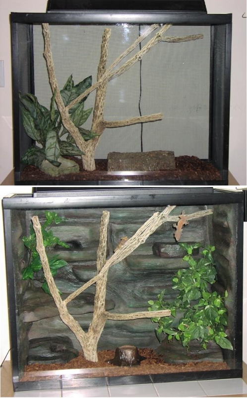 Reptiscapes-  for the 'Upscale' Herp!