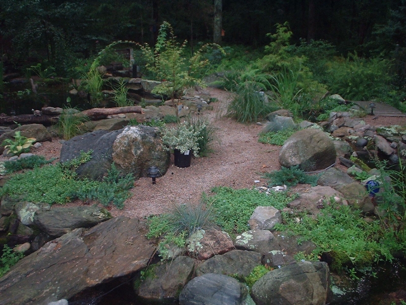 rock bridge