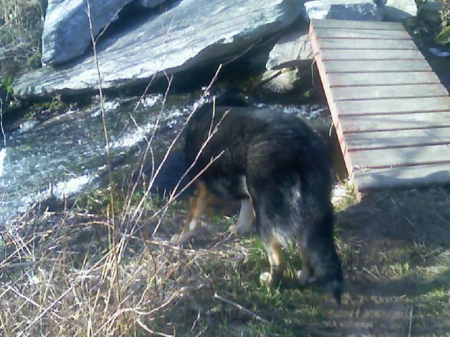 Russo Hanging out