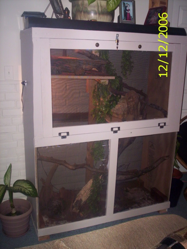 Self Built Snake enclosure