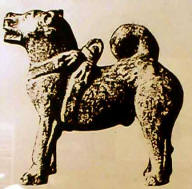 sharpei_071