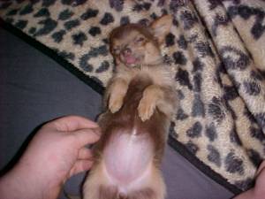 She Loves It!!