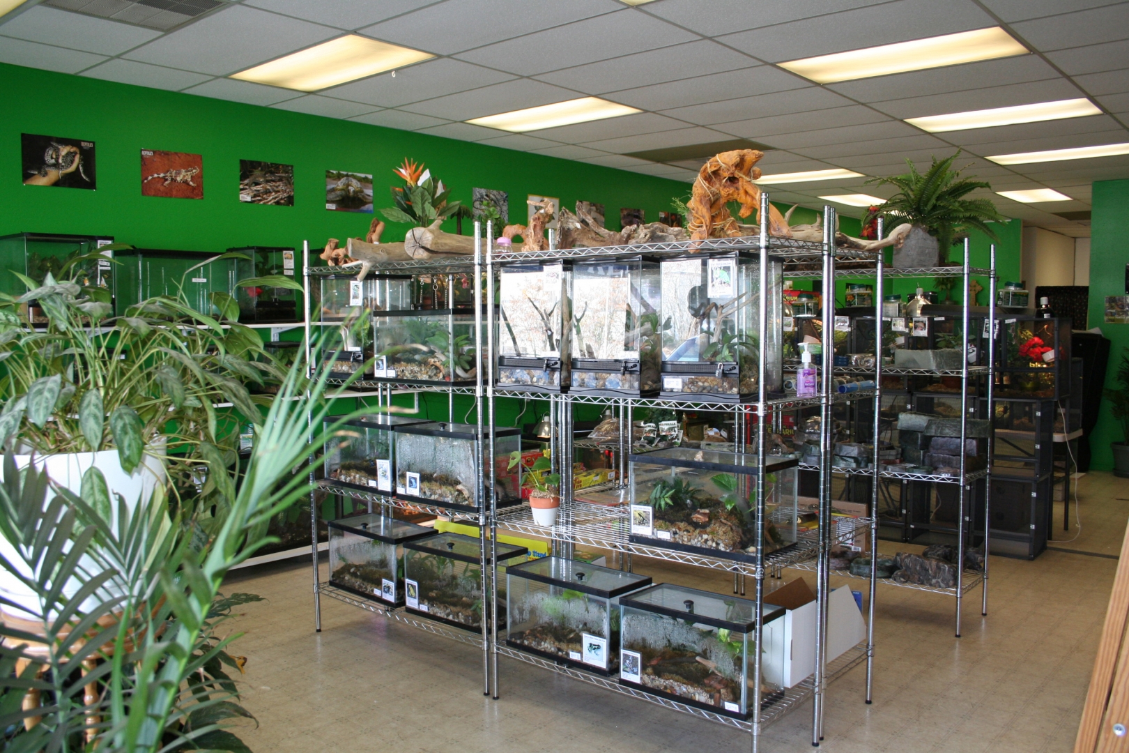 shop034